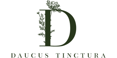 L’atelier de teinture végétale Daucus Tinctura propose une collection de produits uniques, teintés à la main à l'aide de végétaux récoltés de façon responsable : rubans de soie pour fleuristes et designers, chemin de table pour mariages et diners d'exception, écharpes et carrés de soie à porter au fil de la journée.